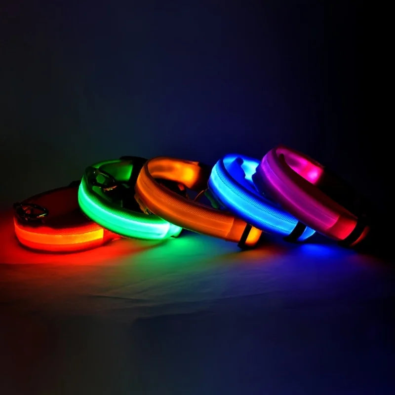 Apex Eclipse™ Night Collar