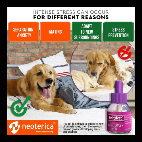 Dog relaxing at home with a pheromone diffuser with black brand border
