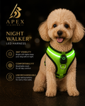 Apex Night Walker™ LED Harness