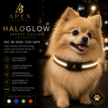 Apex Living™ HaloGlow Safety Collar