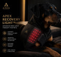 Apex Restore™ Recovery Wrap