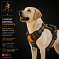 Apex TrailGuard™ Reflective Harness