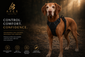 Apex Command™ Control Harness